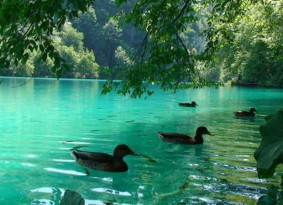 Plitvice Lakes tour  from Trogir